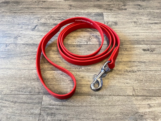 6ft Red Biothane Training Lead - Large Stainless Steel Snap - Click Image to Close